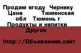 Продам ягоду. Чернику. › Цена ­ 270 - Тюменская обл., Тюмень г. Продукты и напитки » Другое   